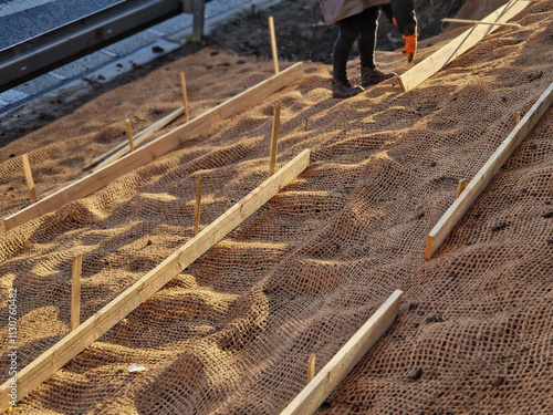 Slope stabilization by vegetation planting of shrubs. so that the mulch bark does not slide down by erosion, the whole hill is supported by planks and metal nails photo