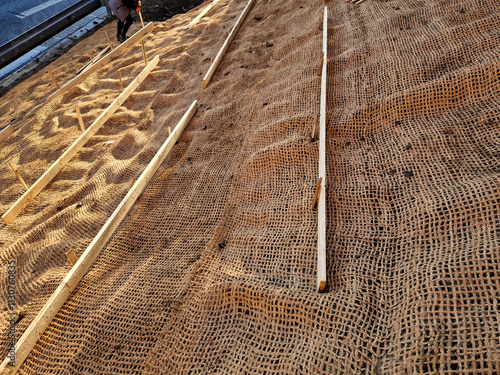 Slope stabilization by vegetation planting of shrubs. so that the mulch bark does not slide down by erosion, the whole hill is supported by planks and metal nails photo