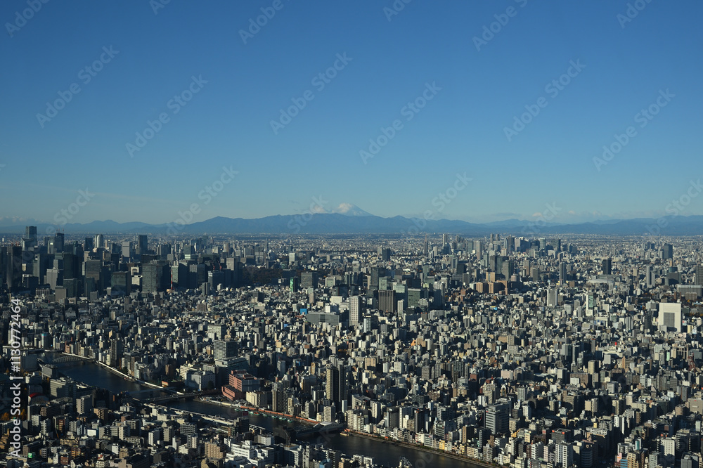 Obraz premium 富士山と隅田川、東京スカイツリー天望デッキより