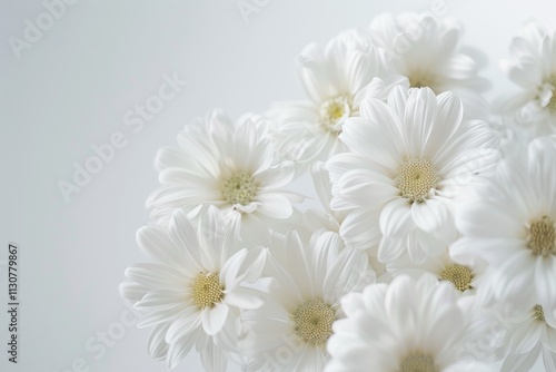 Delicate White Daisies in Soft Focus Bouquet photo