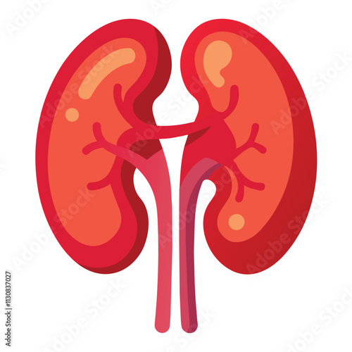 Comprehensive Guide to Kidney Health: Tips, Symptoms, and Care
