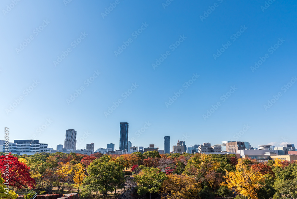 Obraz premium Autumn cityscape of Osaka city skyline with skyscraper building and autumn leaves tree nature park.