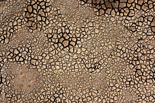 Dry Cracked Earth Texture  photo