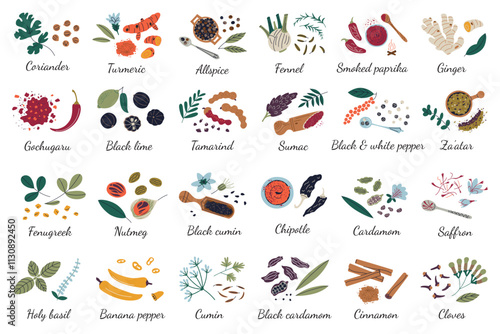 Spices collection, vector illustrations set of national herbs and condiments, cooking ingredients and spice blends, chili pepper, fennel, tamarind, turmeric doodle icons, ground in spoons and bowls
