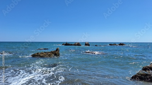 paisaje del mar con rocas y aves posadas