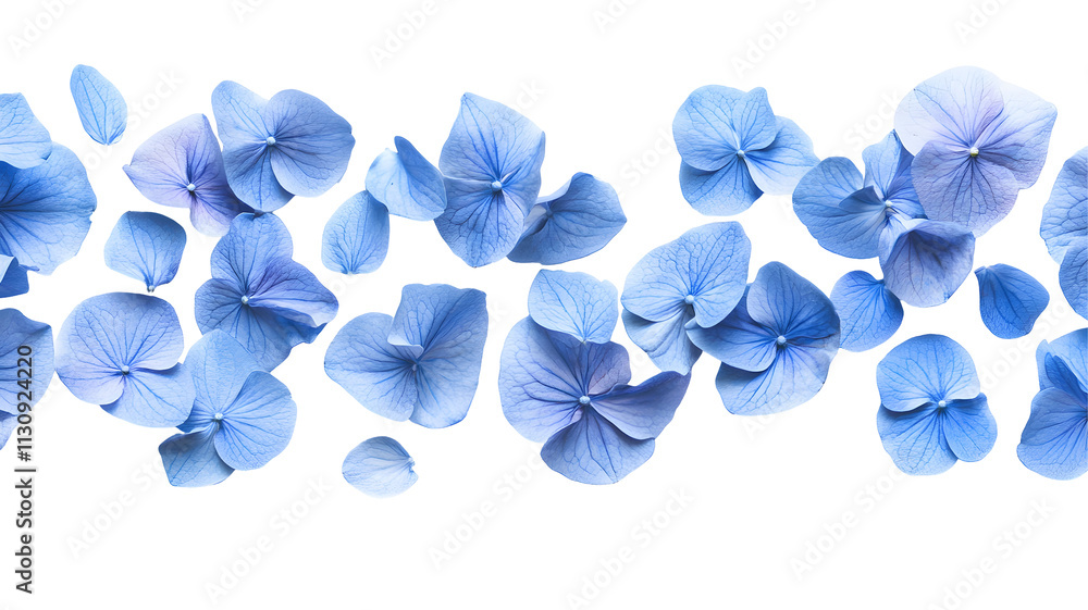 Blue flower petals arranged decoratively. Blue flower petals arranged decoratively.
