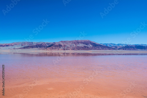 Laguna Carachi Pampa