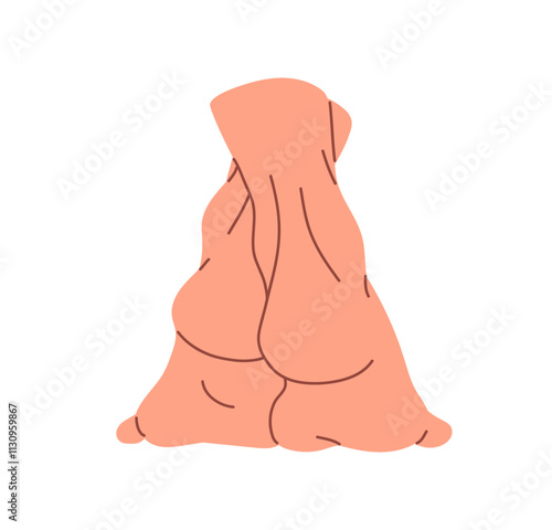 Bare human feet stand on toes back side view. Barefoot female legs on tiptoes behind. Anatomy of soles, heels. Podiatry, pedicure, SPA procedures. Flat isolated vector illustration on white background