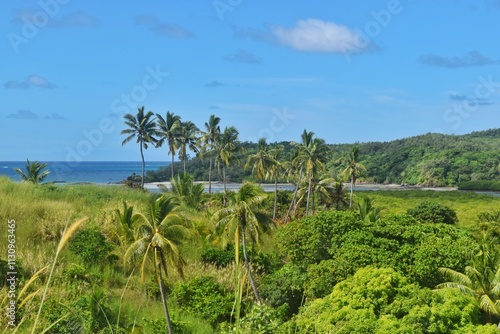 Wallpaper Mural The paradise beaches of the Fiji Islands in the Pacific Ocean Torontodigital.ca