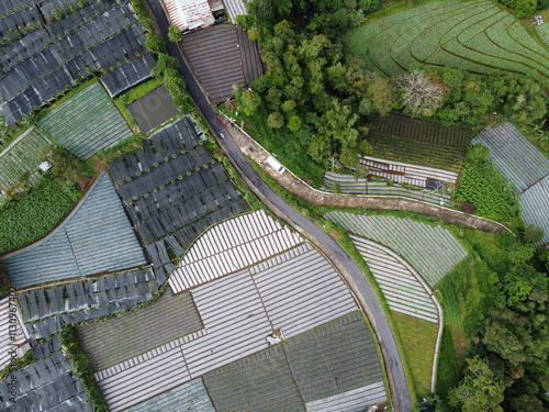 The beauty of the landscape Leek and vegetable plantations and architecture of the arrangement of terraced houses in the tourist area of ​​Nepal van Java, Butuh Hamlet, Magelang, indonesia photo