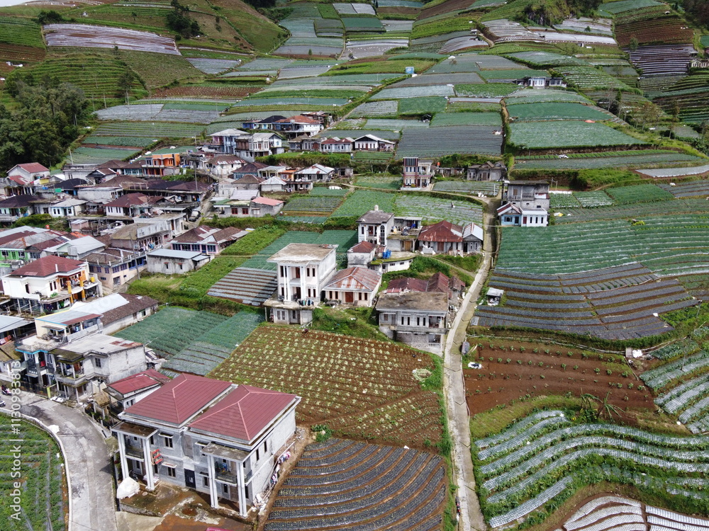 Fototapeta premium The beauty of the landscape Leek and vegetable plantations and architecture of the arrangement of terraced houses in the tourist area of ​​Nepal van Java, Butuh Hamlet, Magelang, indonesia