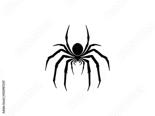 widow spider silhouette. spider silhouette isolated on a white background.