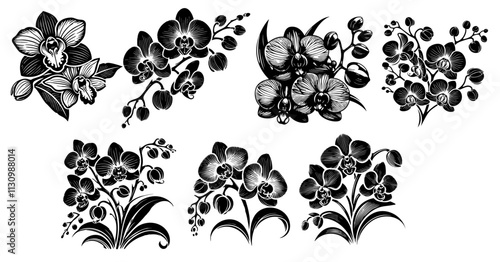 Orchid Flowers Vector Isolated Stylised Detailed Designs: Orchids