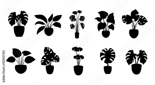Black plant pot silhouette vector set, potted plant silhouette clipart image, set of  monstera plants in pots
