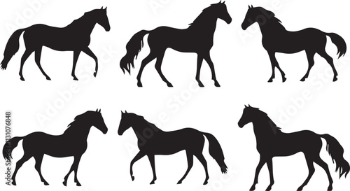 silhouettes of horses isolated on transparent background. Horses in Pasture Silhouettes