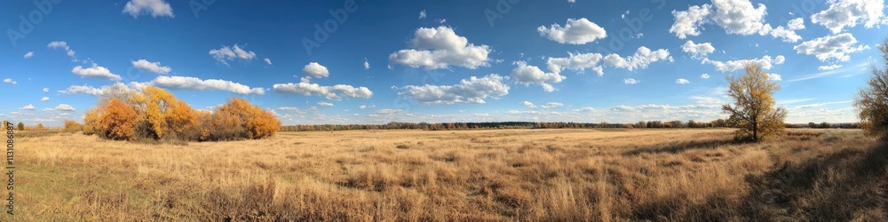 Fototapeta premium Autumn landscape with golden field, colorful forest, and a clear blue sky with scattered clouds