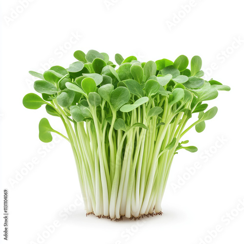 Healthy microgreens indoor garden photography showcasing nutritional benefits in natural light photo