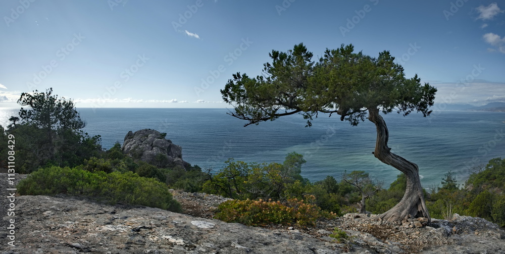 Obraz premium Russia, the New World. Picturesque view of the Black Sea coast from the mountain in the vicinity of the famous Cape Kapchik on the Crimean peninsula. 