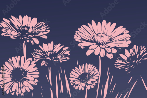 Pink Daisies Blooming Against a Navy Blue Background