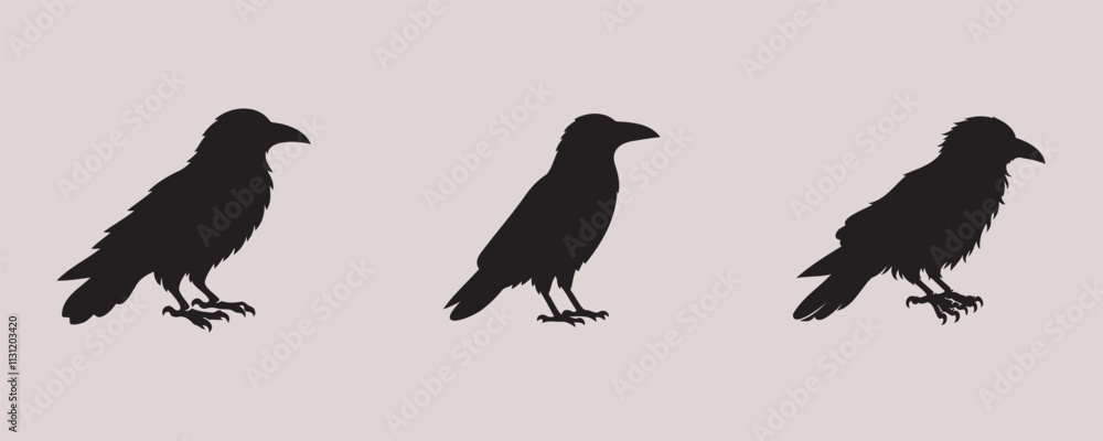 Fototapeta premium Crow silhouette bundle vector illustration