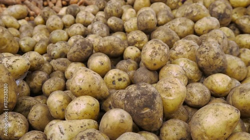 Lots of fresh potatoes close-up. Unwashed potatoes, with soil residues. Harvest, just picked or on a store shelf.