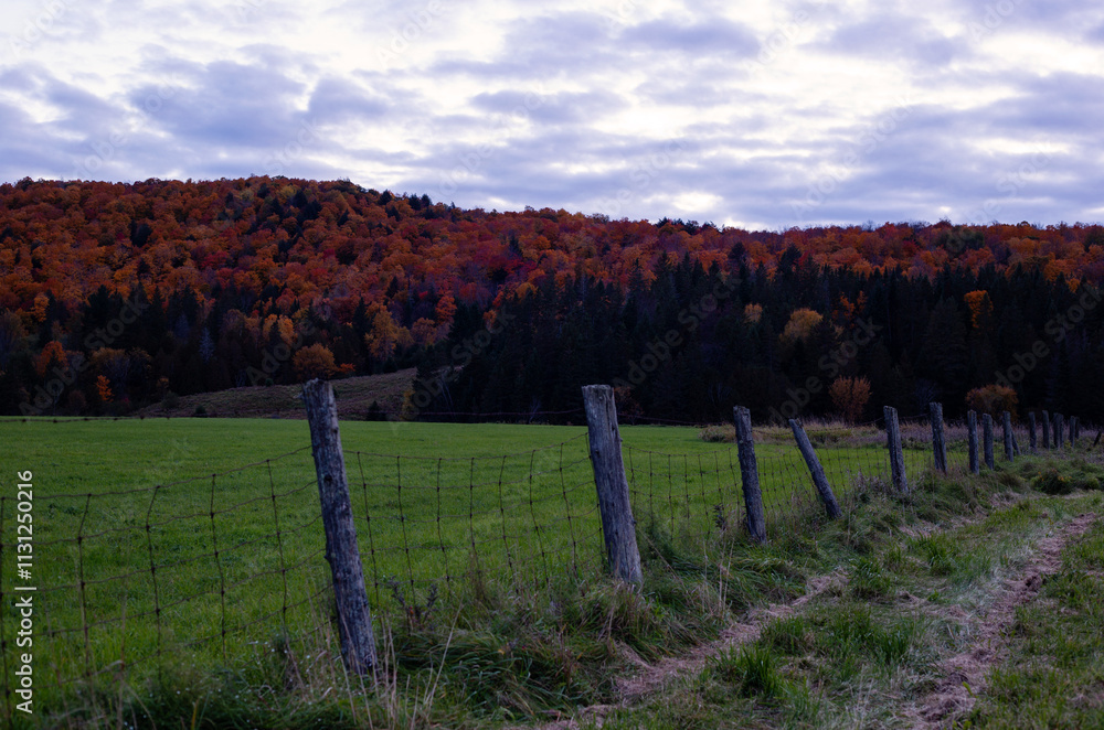Obraz premium autumn landscape with fence and sky