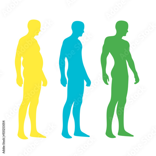 Set of Body mass index color vector illustration from underweight to obese. Man silhouettes with different obesity colors. Male body with different weight