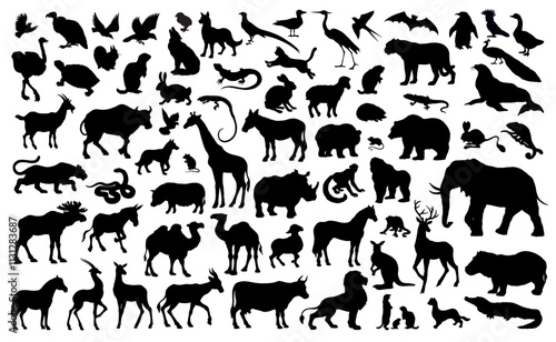 Many animals icons. Vector drawing