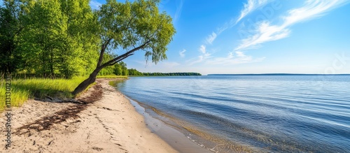 Serene coastline with sandy shores calm waters and lush greenery under a clear blue sky ideal for relaxation and nature retreats photo