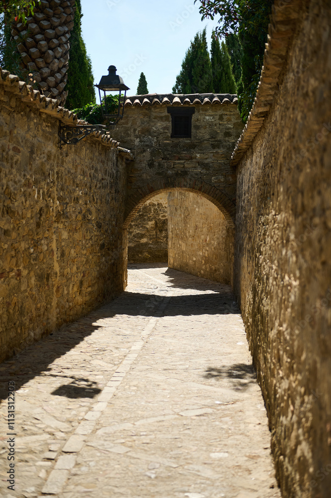 Obraz premium Historic stone alleyway lined with ancient walls and lush greenery