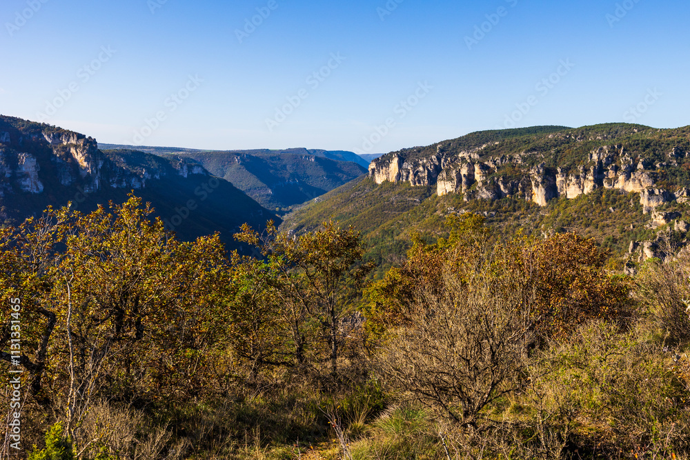 Obraz premium Geological formations of the “Cité des Pierres” in Montpellier-le-Vieux, overlooking the Dourbie Gorges