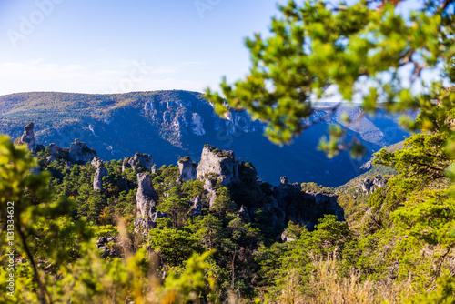 Geological formations of the “Cité des Pierres” in Montpellier-le-Vieux, overlooking the Dourbie Gorges photo