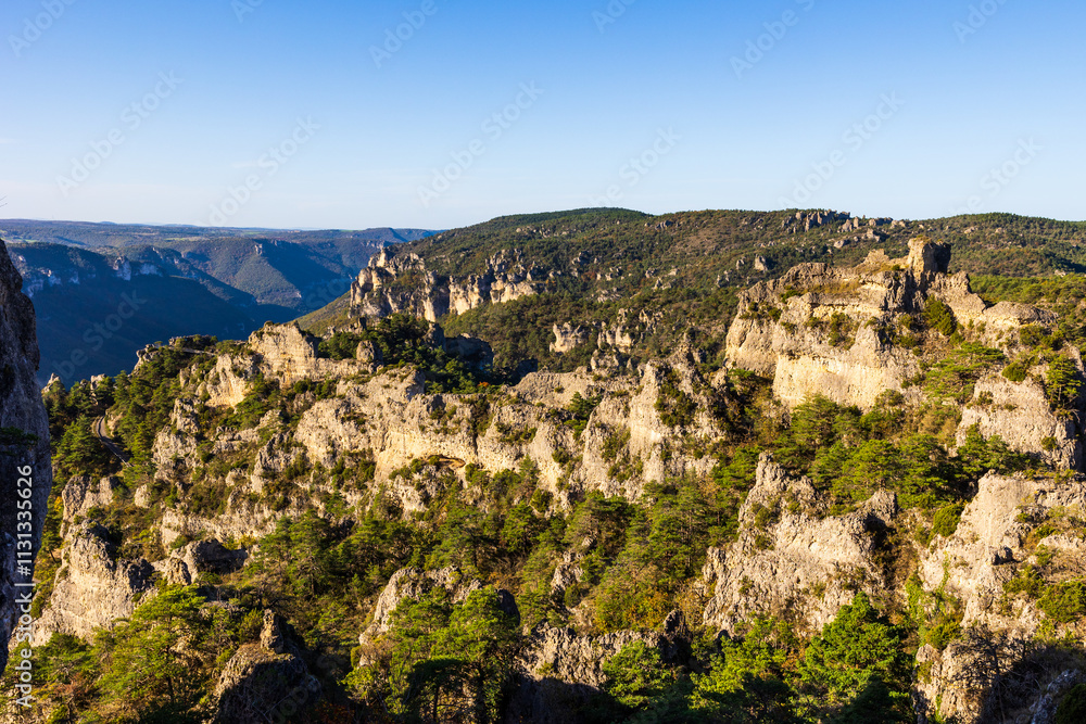 Obraz premium Geological formations of the “Cité des Pierres” in Montpellier-le-Vieux, overlooking the Dourbie Gorges