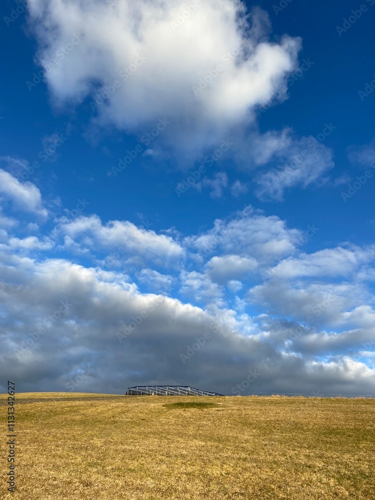 Fototapeta premium Unterstand für Schafe