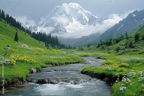 Haramosh - a 7000m peak in the Karakoram Range with stunning lush green meadows, forests and water streams  photo