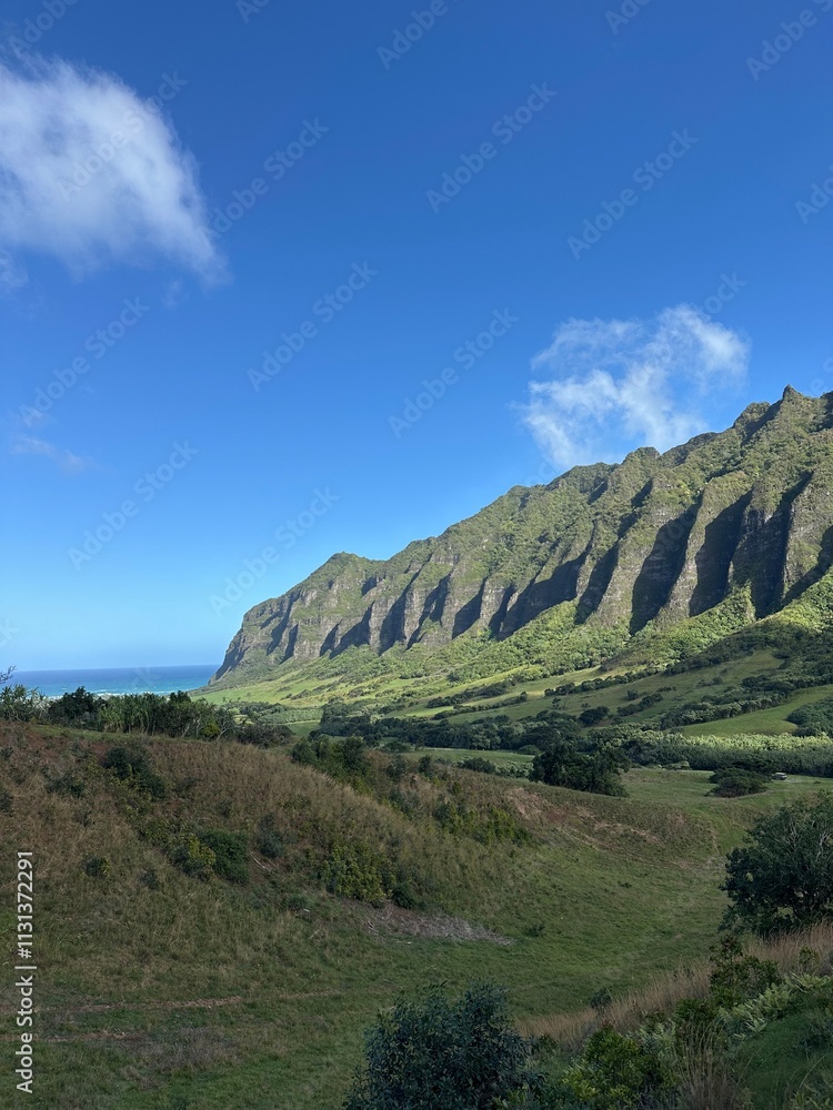 Fototapeta premium Jurassic Panorama: A Summer Adventure in Kualoa Ranch