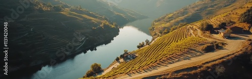 A picturesque drone shot of the Douro Valley, featuring terraced vineyards rolling down the hillsides The Douro River snakes through the valley photo