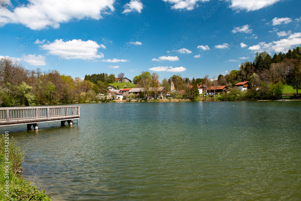 Obraz premium Frühling am Weiher