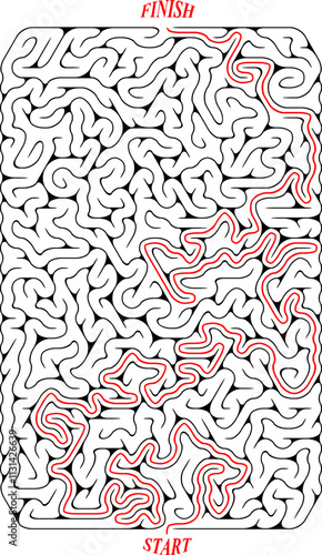 Vector vertical rectangular labyrinth with entry and exit. Difficulty level - advanced. Maze with solution. Children logic game for brain training isolated on white background