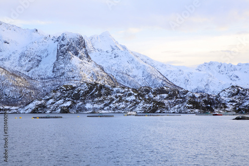 Allevamenti di salmoni nel fiordo arrivando via mare a Fiskebol (isole Lofoten). Norvegia del nord. photo