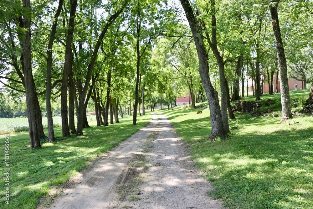 Obraz premium The long country gravel road on a sunny day.
