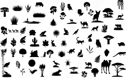 Vector Desert Animals and Plants Silhouettes