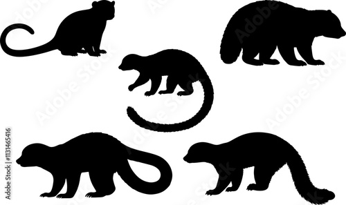 Kinkajou Solid Silhouette.