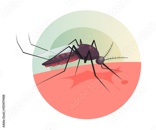 Mosquito biting on Human Skin - Stock Illustration
