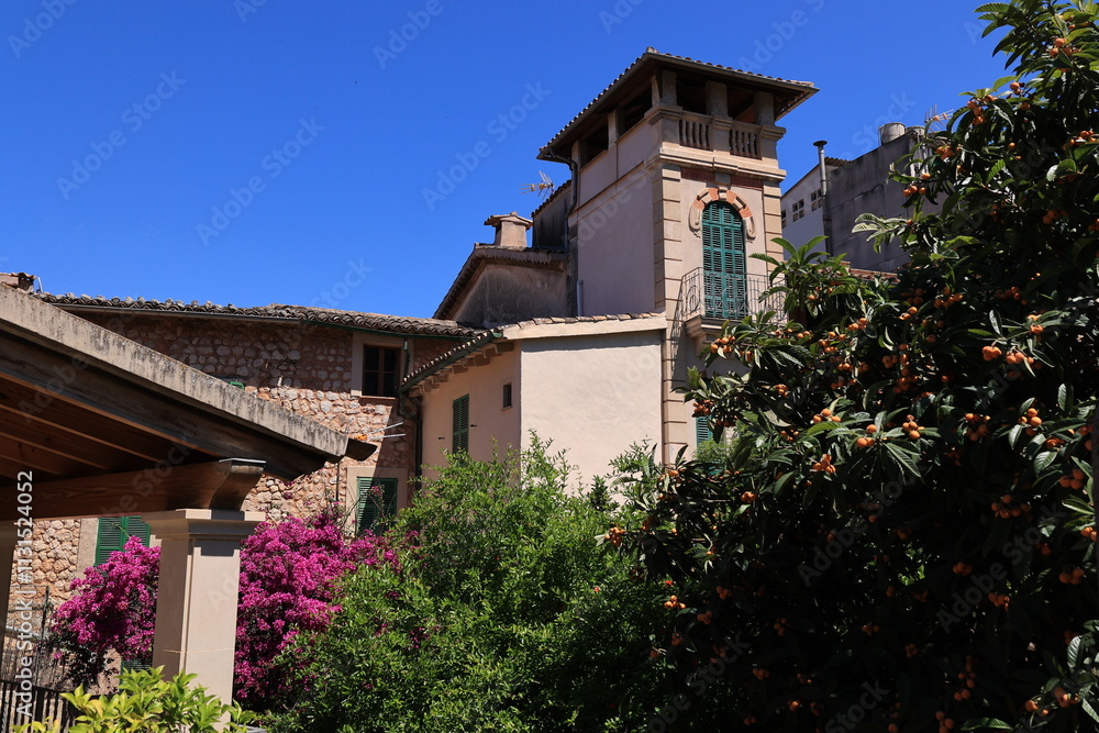 Fototapeta premium Blick in die Altstadt von Soller auf der Spanischen Mittelmeerinsel Mallorca