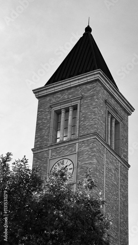 Texas Christian University- froggy land, Fort Worth, Texas, USA.  photo