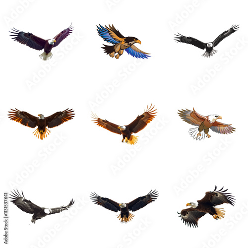 set of eagle vector design, bird, silhouette, eagle, flying, vector, animal, illustration, nature, wing, birds, black, fly, wings, feather, dove, wild, hawk, design, wildlife, art, tattoo, flight