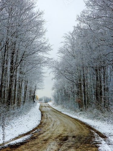 A country gravel road in the winter, snow along the sides, between trees covered in heavy frost, on an overcast day.