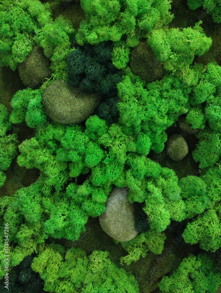 decorative artificial moss wall, indoor landscaping,plant green background