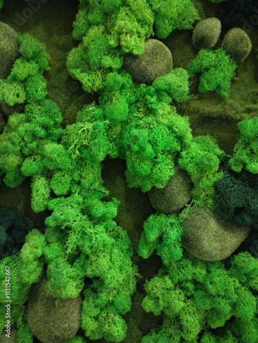 Obraz na płótnie decorative artificial moss wall, indoor landscaping,plant green background w salonie